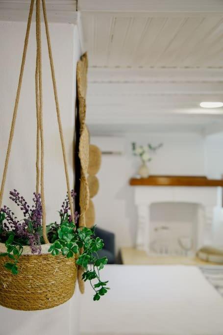Corinth Yard- Family Retreat 아파트 외부 사진